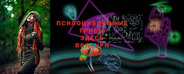 альфа пвп Снежногорск