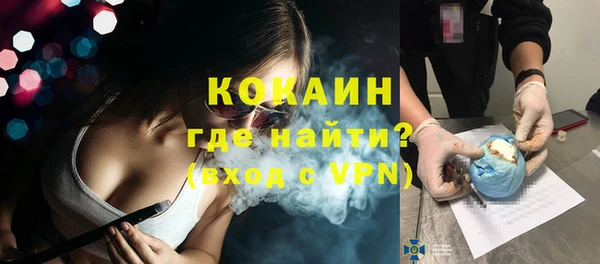 индика Дедовск