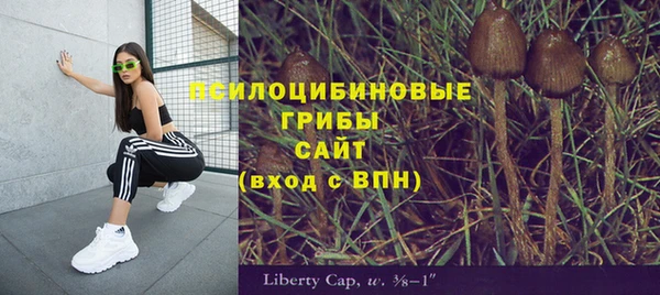 альфа пвп Данков