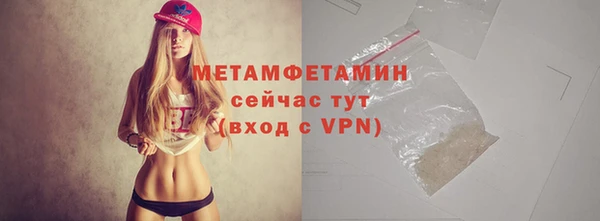 индика Дедовск