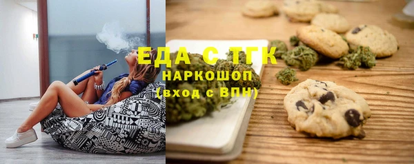 индика Дедовск